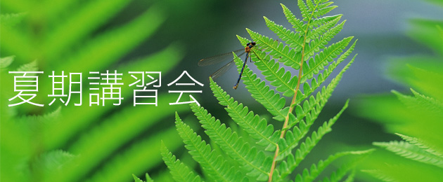 春期講習会