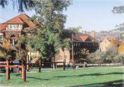 Alfred College